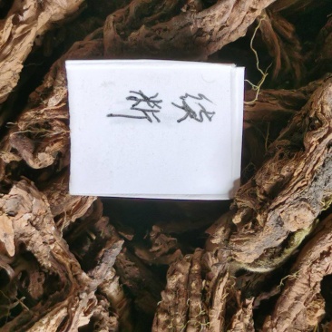 续断/