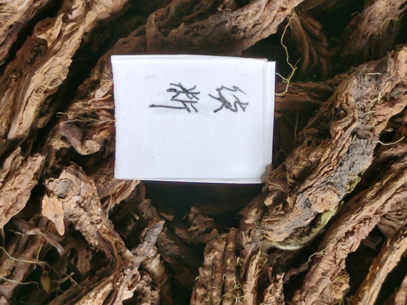 续断/