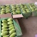 【精品青茄】湖北随州青茄现采现摘对接全国商超批发