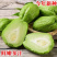 云南现摘新鲜佛手瓜批发窝瓜洋瓜当季农家蔬菜丝瓜自种寿瓜