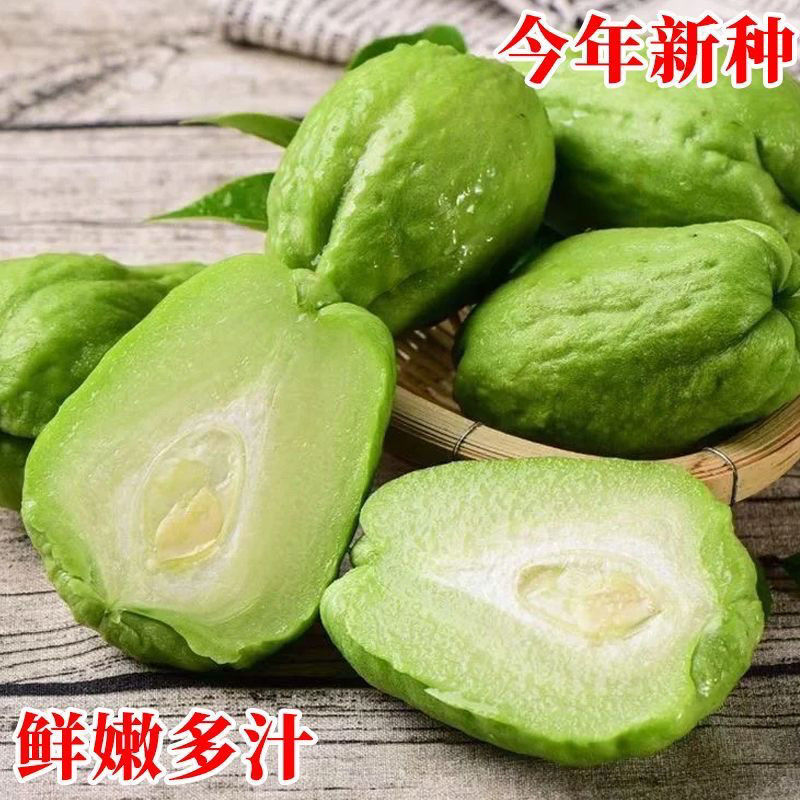 云南现摘新鲜佛手瓜批发窝瓜洋瓜当季农家蔬菜丝瓜自种寿瓜