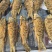 【卤味】油炸鲤鱼