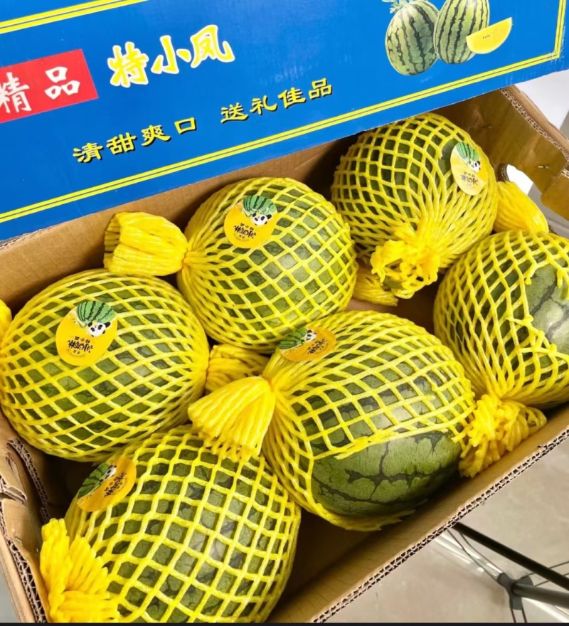 精品特小凤，产地一手货源，现摘现发，品质**，合作共赢