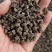 正宗野生/家种/猫爪草刚产新中药材猫爪草/泡茶良品