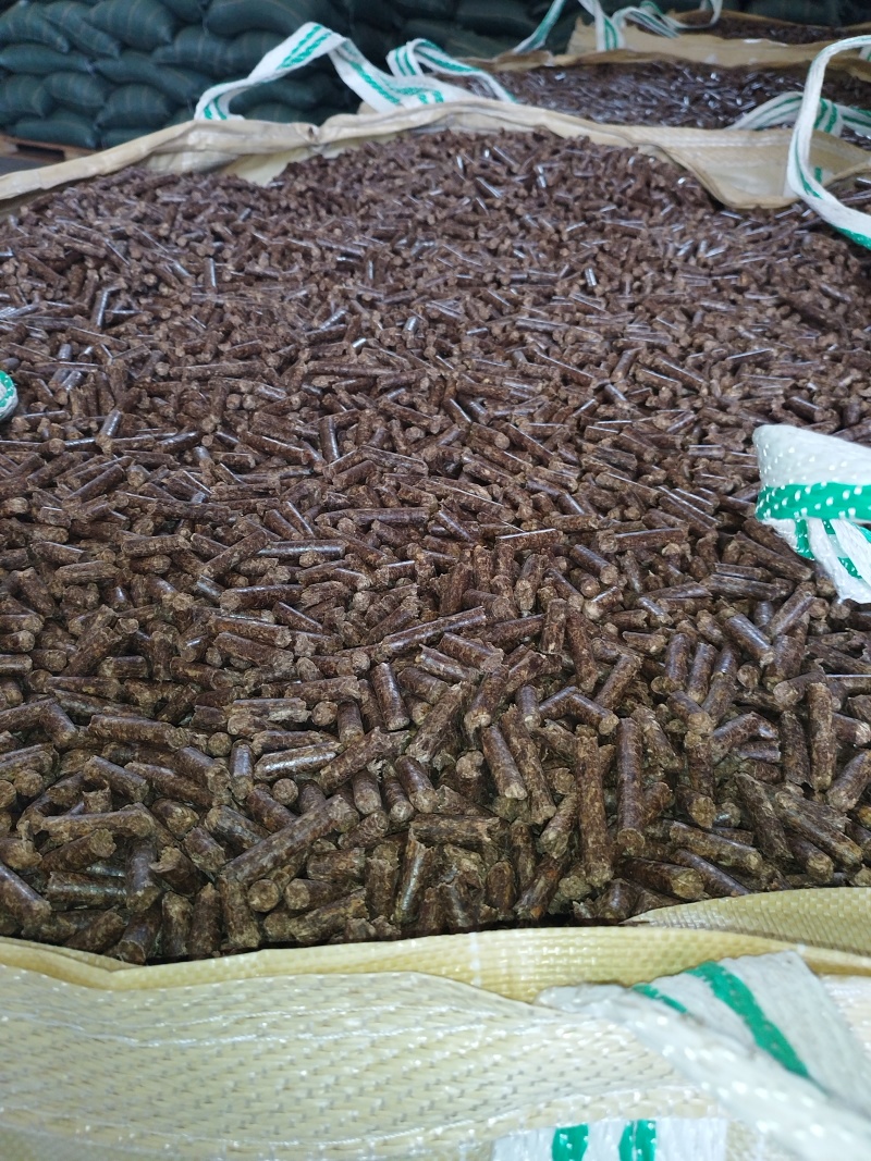 生物颗粒