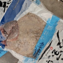 多宝鱼厂家直销