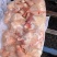 二级老鸡排腿