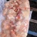 二级老鸡排腿