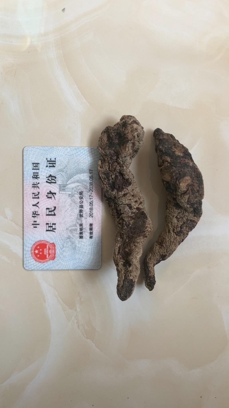 生地黄/河南焦作地黄/中药材生地整车配送大量现货