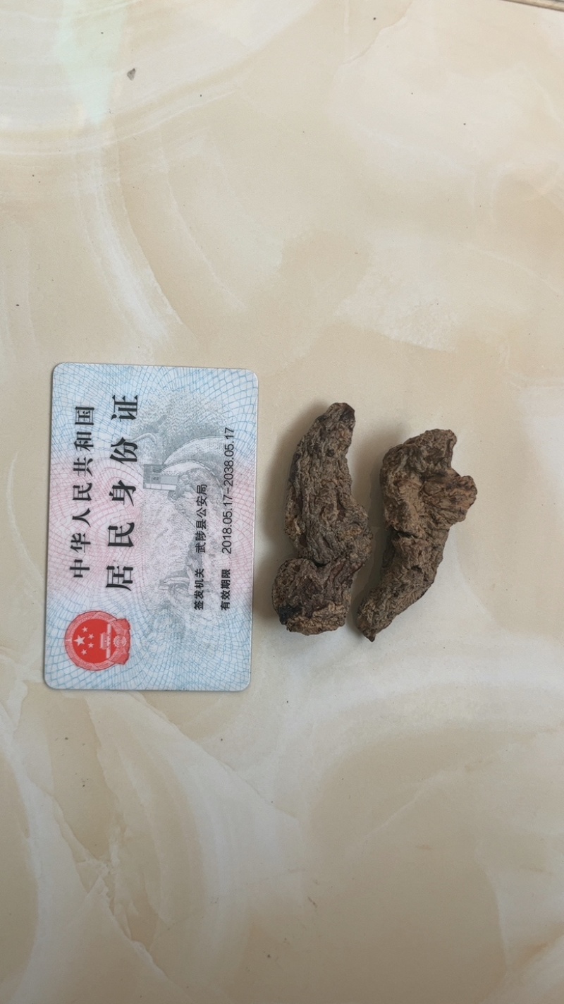 生地黄/河南焦作地黄/中药材生地整车配送大量现货