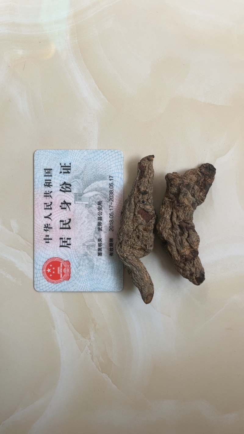 生地黄/河南焦作地黄/中药材生地整车配送大量现货
