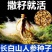 人参种子长白山人参种子中药材人参籽散装种子批发