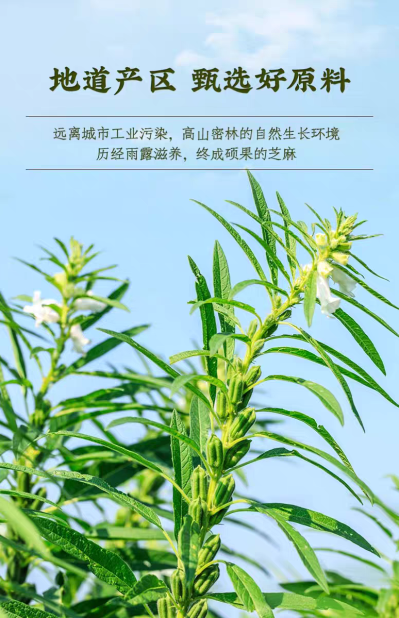 散装黑芝麻油批发，工厂支持贴牌，代工，定制。。。