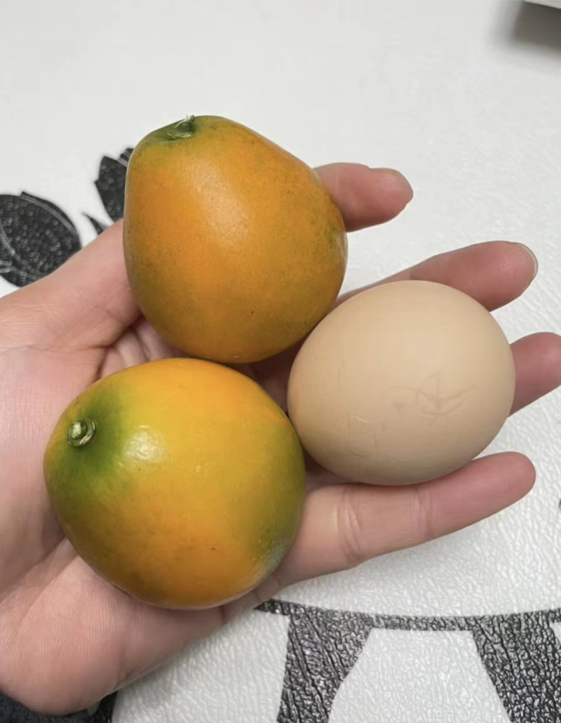 脆蜜金桔苗大果子品种，嫁接苗，营养杯苗带土带叶发货的