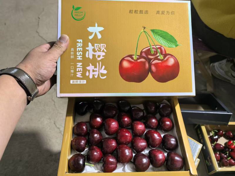 【美早樱桃】山东大樱桃新鲜上市果园直采车厘子全国发货