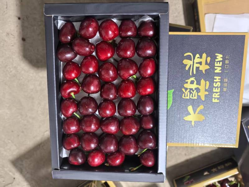 【美早樱桃】山东大樱桃新鲜上市果园直采车厘子全国发货