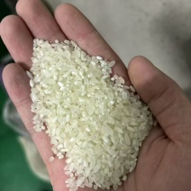 东北五常大米电商米食堂米
