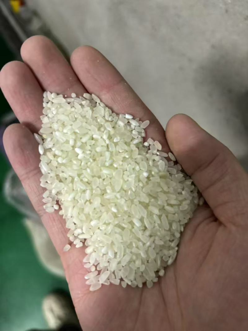 东北五常大米电商米食堂米