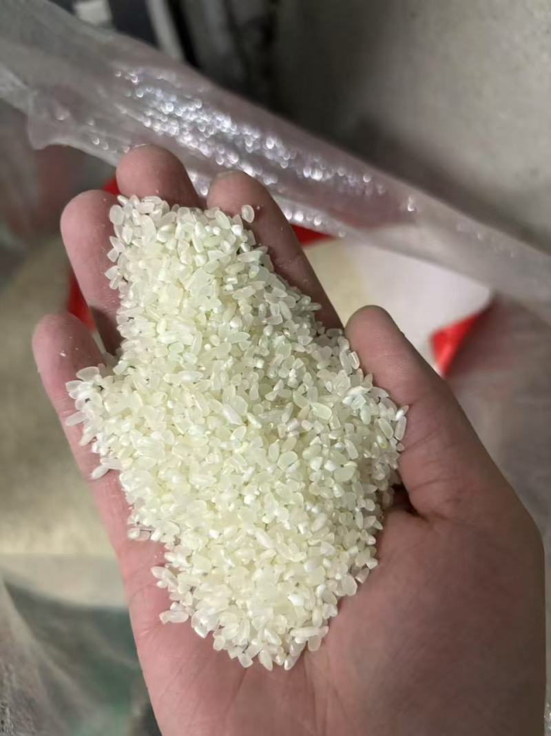 东北五常大米电商米食堂米