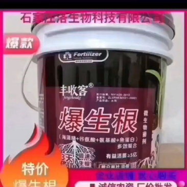 爆生根，高效生根，生根壮苗，生根多。快速促根。