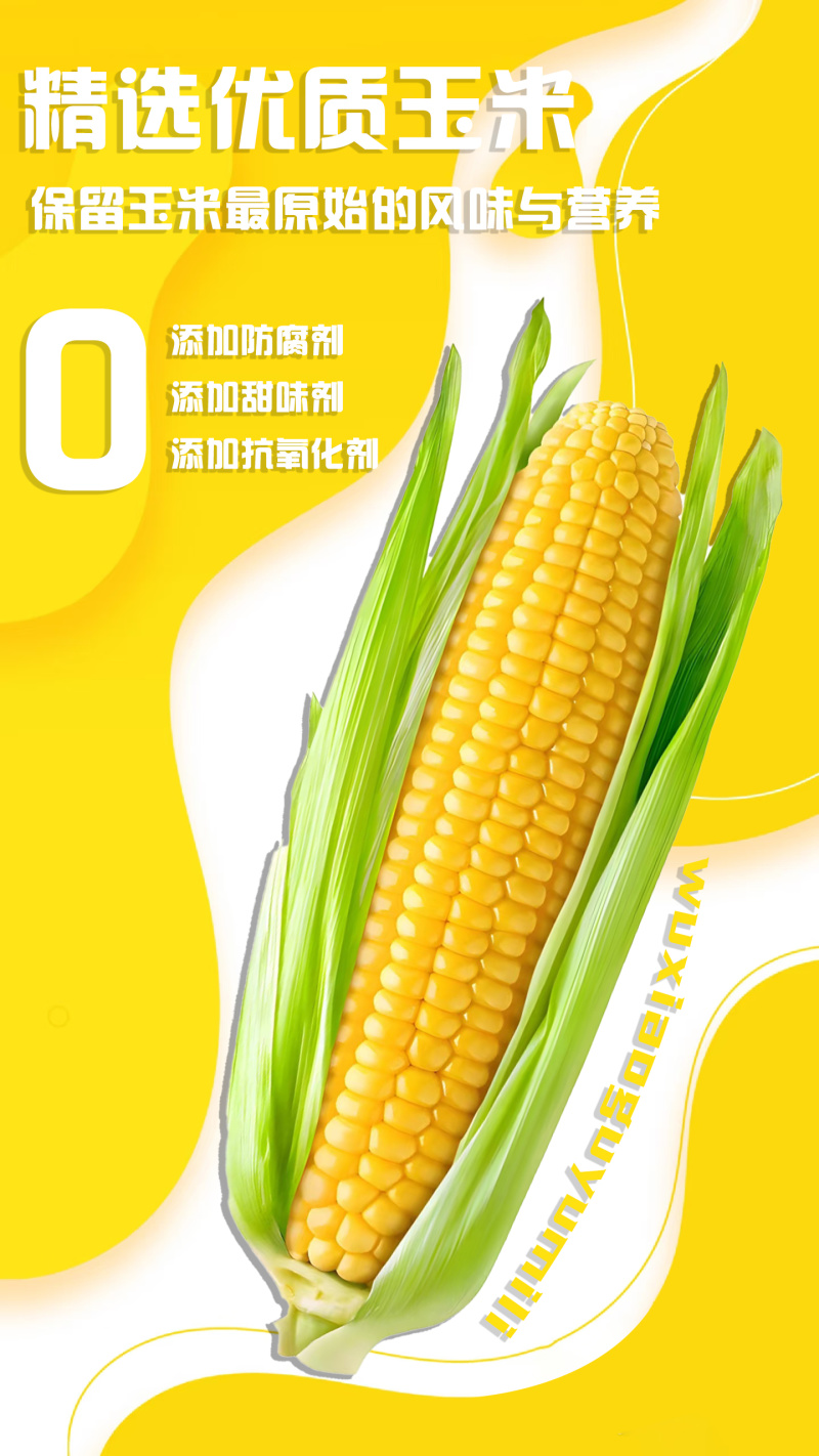 玉米