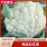 【精品】湖北有机花菜，散花，松花，大量有货，产地直发