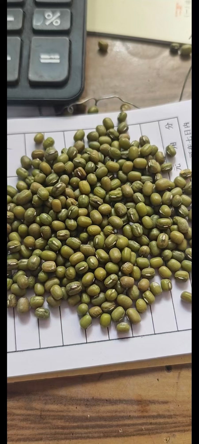 绿豆现货批发（进口，东北）亮绿豆，皮薄易烂