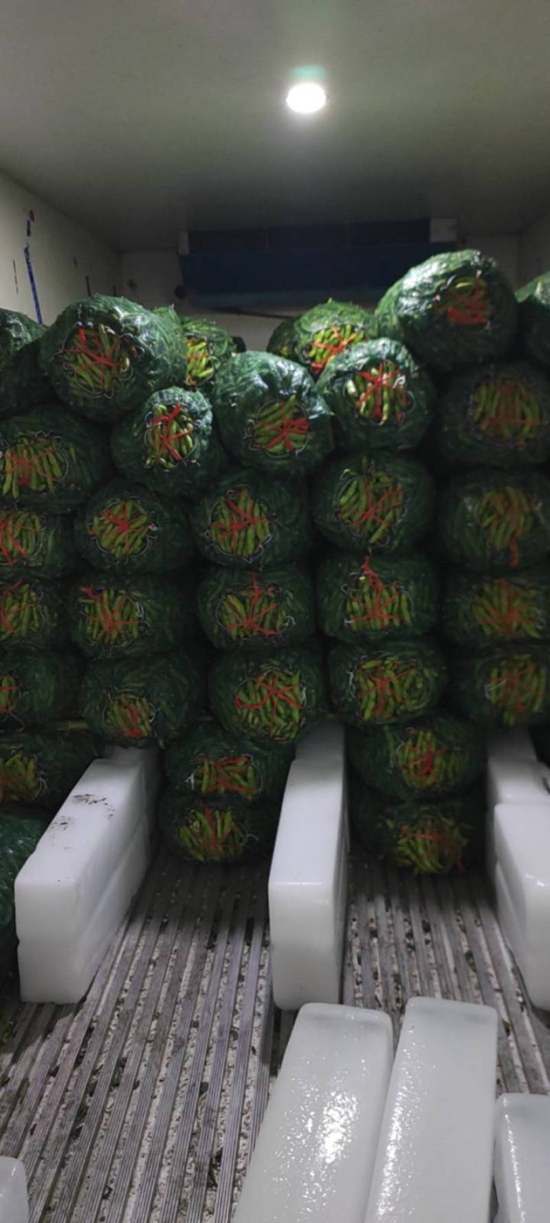 青海蚕豆，江苏大白皮精品蚕豆