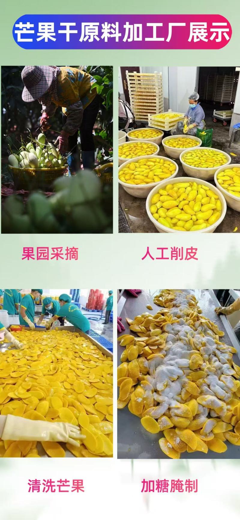 芒果干碎片高质量源头直供宝藏边角料果干果脯批发