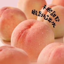 阳山水蜜桃自家果园直采价钱实惠品质保证