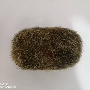 猪宝一手货源，品质保证，支持视频看货，欢迎联系