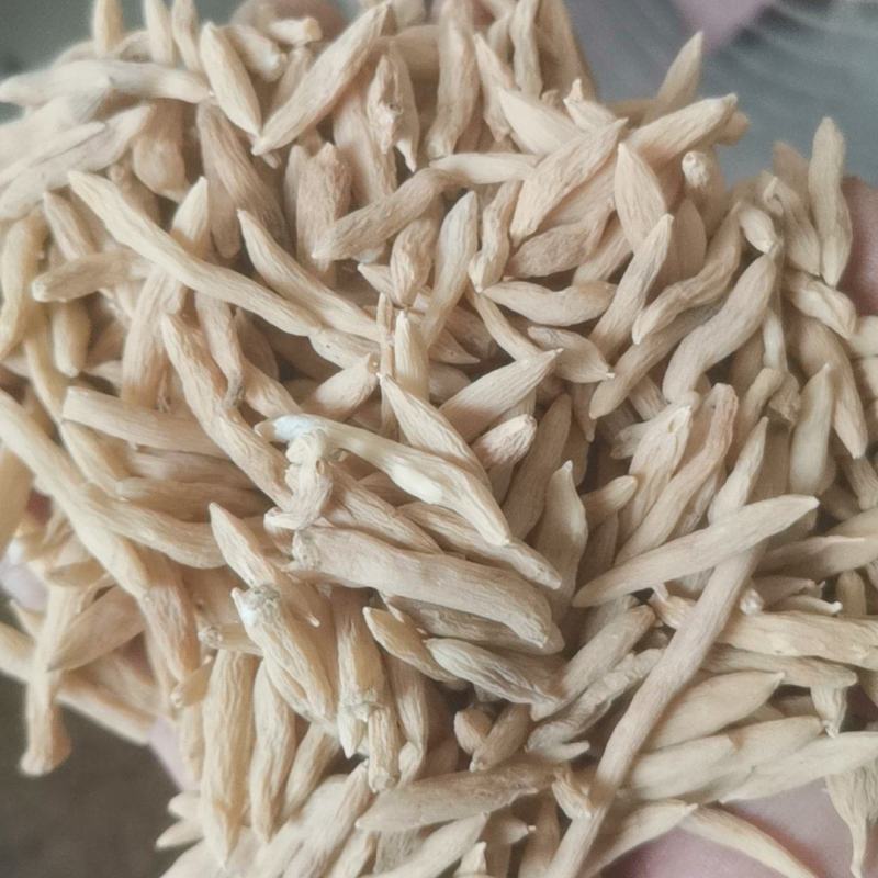 乘法麦冬优质麦冬自然晒干天然无害道地药材规格齐全