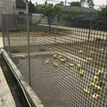 电/微
