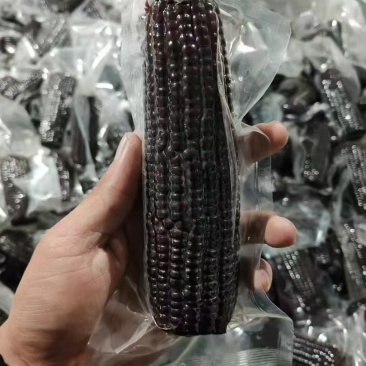 真空独立包装黑玉米，打开袋子直接可以吃，价格毛毛钱
