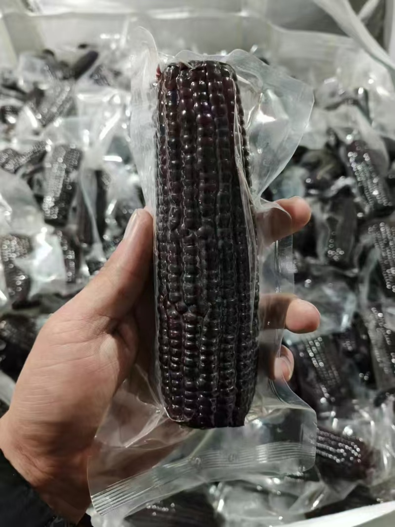 真空独立包装黑玉米，打开袋子直接可以吃，价格毛毛钱