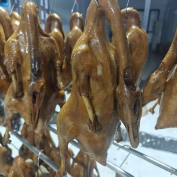 【卤味】荣昌卤鹅现做现发品质保证欢迎采购
