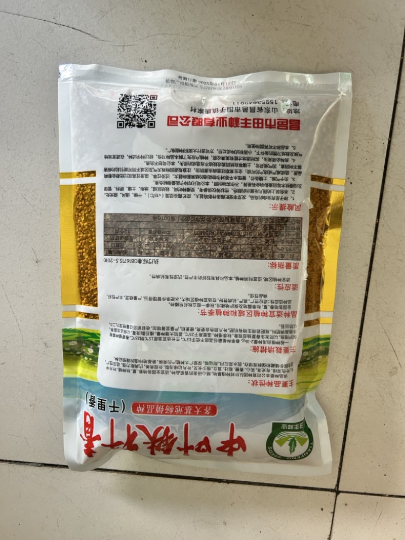 中叶铁杆青香菜种子高产耐热青梗四季种植铁杆基地品种