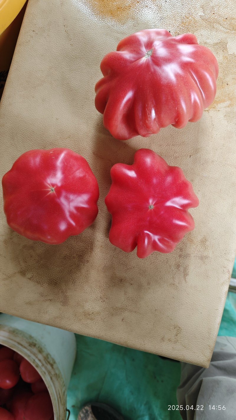 普罗旺斯水果西红柿