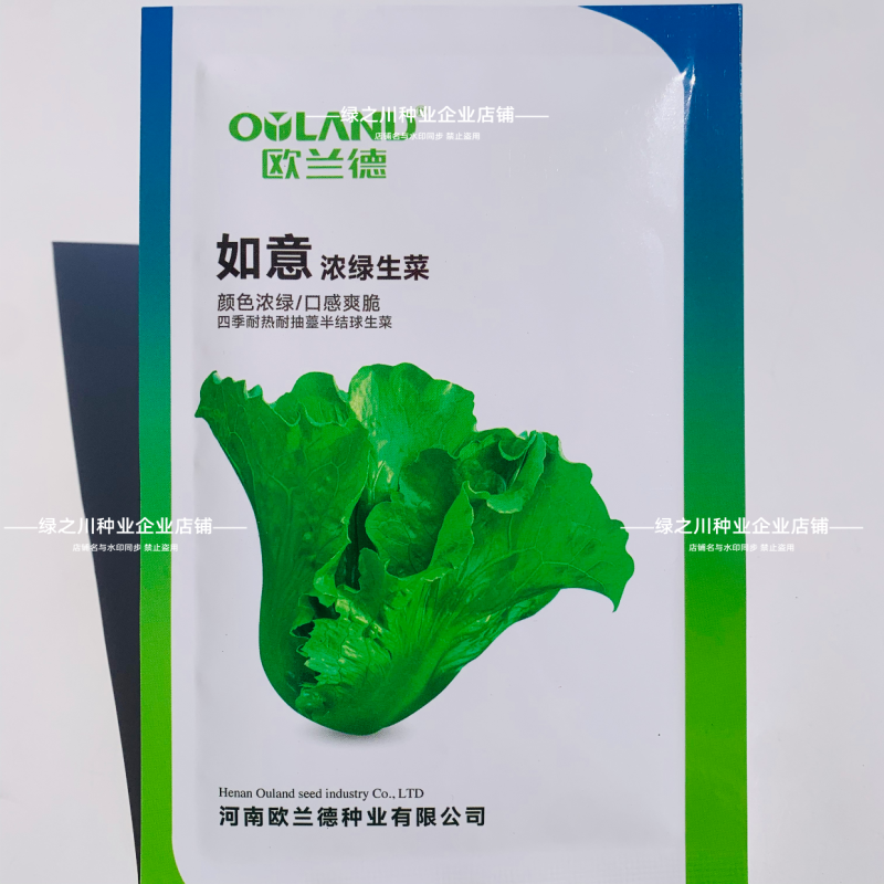 四季耐热耐寒生菜种子浓绿半结球生菜种子爽脆不苦散叶生菜籽
