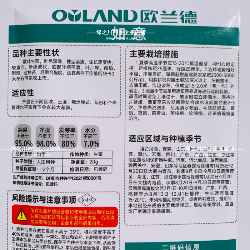 四季耐热耐寒生菜种子浓绿半结球生菜种子爽脆不苦散叶生菜籽