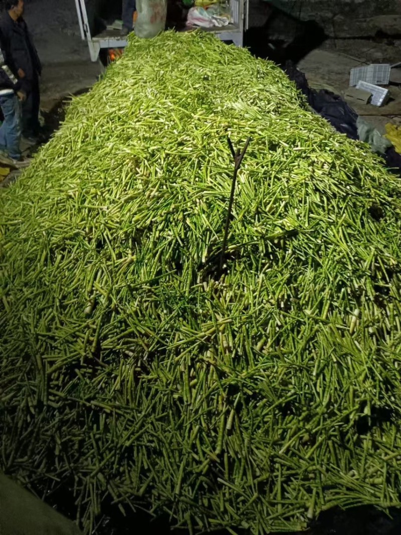 罗汉笋新鲜，来自大自然的馈赠，每条都有原有竹香
