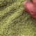 手工采的猫爪种子