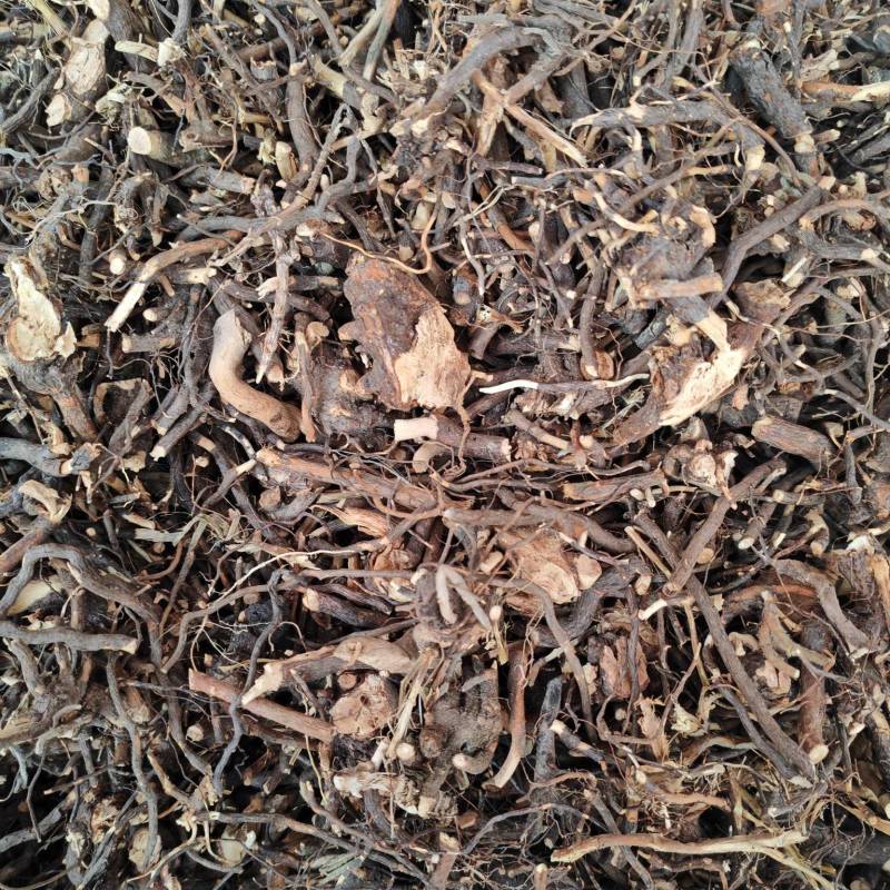 蓬虆三月泡根