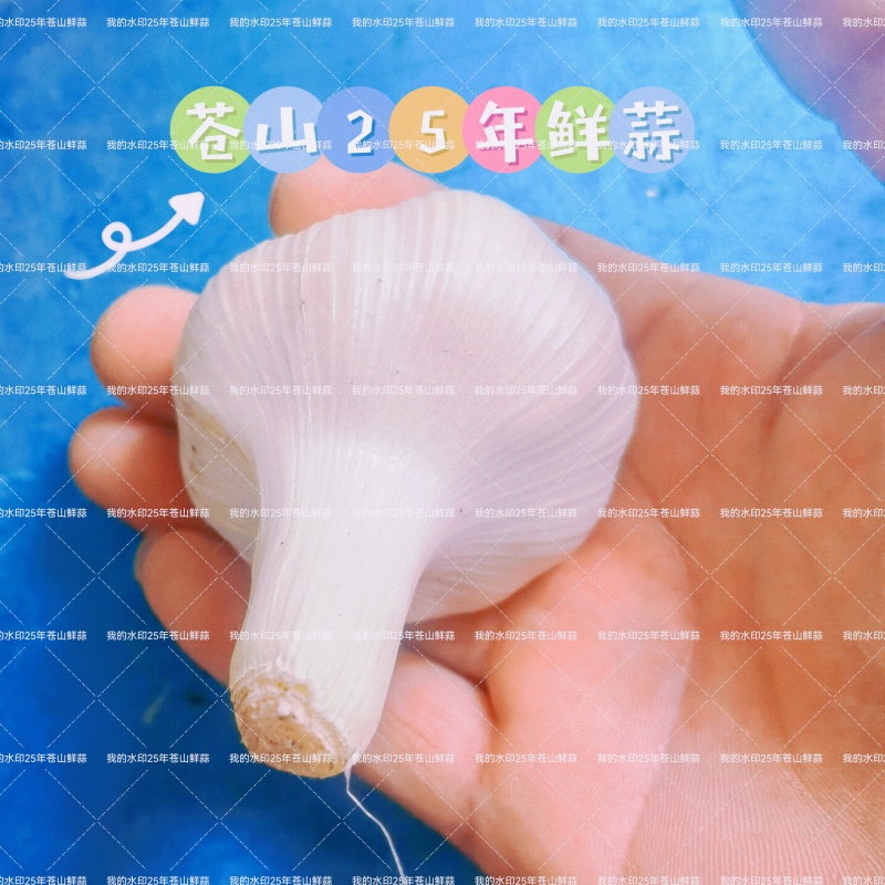 山东临沂兰陵（原苍山）大蒜