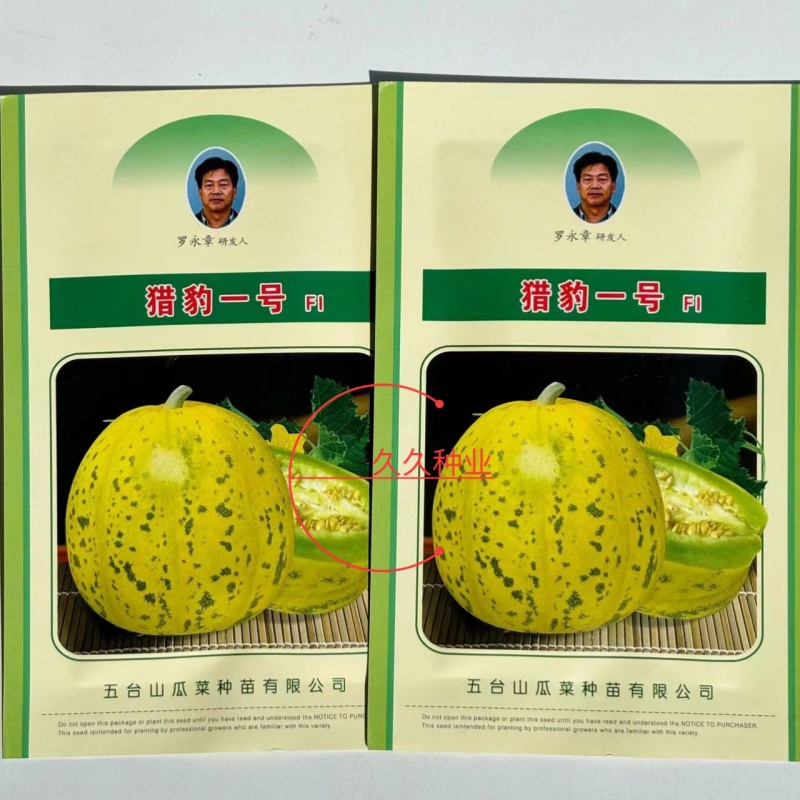 猎豹一号一代杂交花皮豹纹甜瓜种子颜色美甜度高