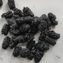 桑葚干黑桑子干果桑椹干花茶饮片药厂货泡酒专用