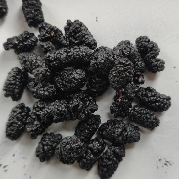 桑葚干黑桑子干果桑椹干花茶饮片药厂货泡酒专用