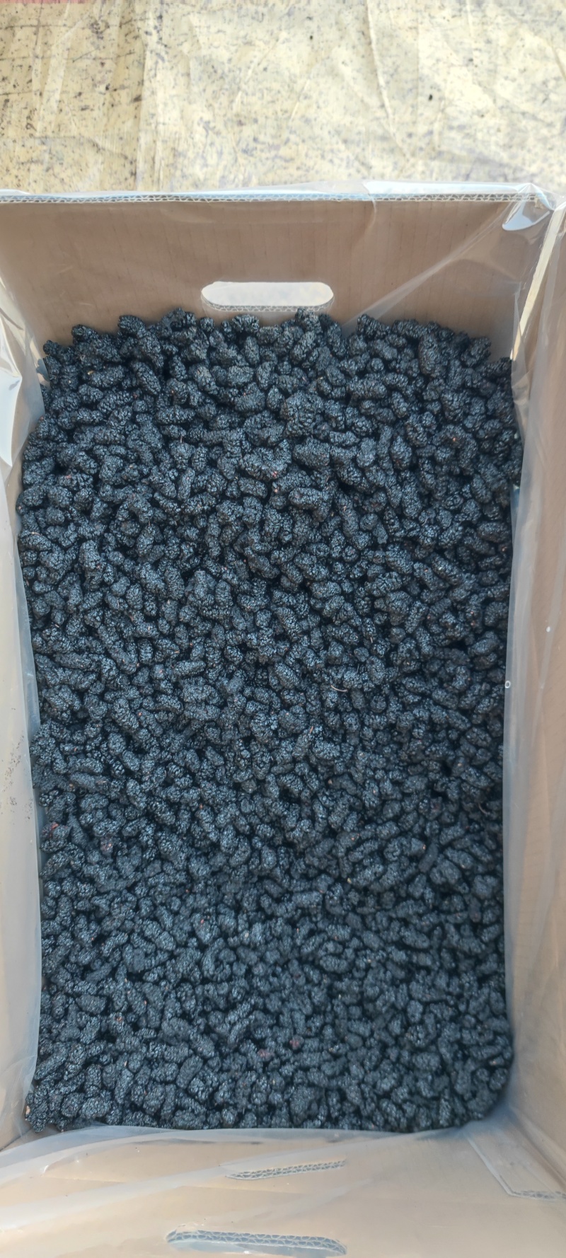桑葚干黑桑子干果桑椹干花茶饮片药厂货泡酒专用
