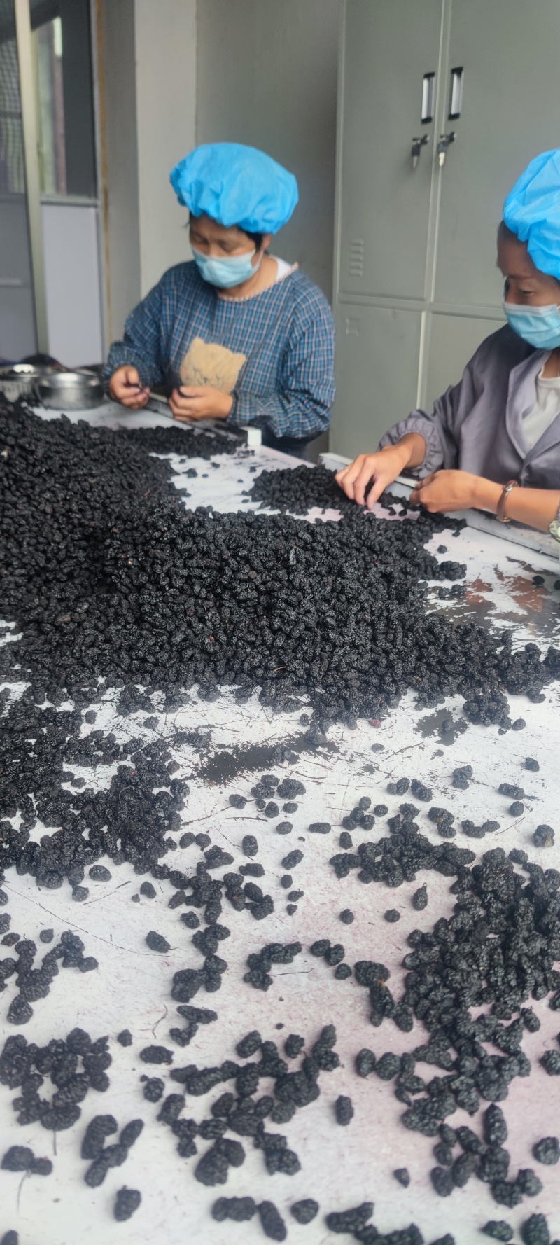 桑葚干黑桑子干果桑椹干花茶饮片药厂货泡酒专用