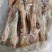 大羊后腱羊后棒